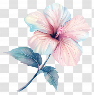 Pastel Flower - Pink Hibiscus Flower Plant Transparent PNG