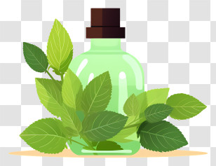 Essential Oil - Green Bottle With Leaves Transparent PNG