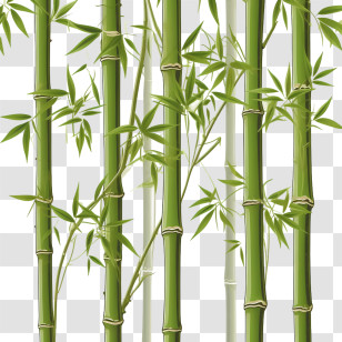 Bamboo - Vivid Green Bamboo Illustration Transparent PNG