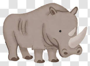 Clipart - Cartoon Rhinoceros Illustration In Neutral Colors Transparent PNG