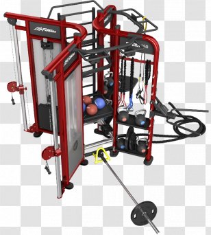 Fitness Centre Exercise Strength Training Life Physical Transparent PNG