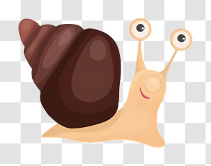 Cartoon Snail - Cute Snail With Shell Transparent PNG