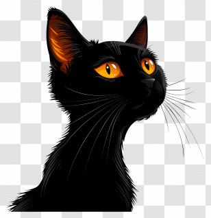 Black Cat - Black Cat With Yellow Eyes Illustration Transparent PNG