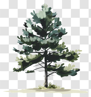 Pine Tree - Green Needles Pine Tree Illustration Transparent PNG