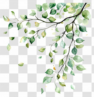 Flying Leaf - Watercolor Branch With Green Leaves Transparent PNG