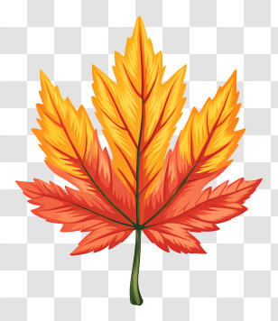 Maple Leaf Symbol - Colorful Leaf Illustration For Autumn Season Transparent PNG
