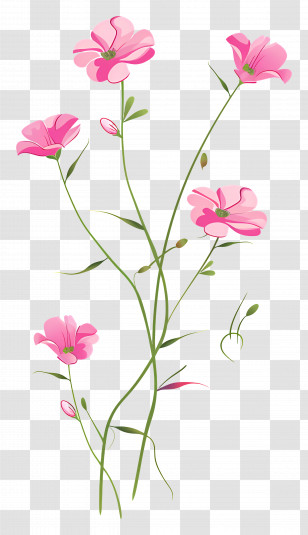 Pink Flowers - Beautiful Pink Wildflower Illustration Transparent PNG