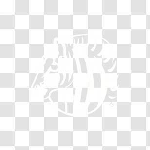 Zebra Logo - Invisible White Outline Illustration Transparent PNG
