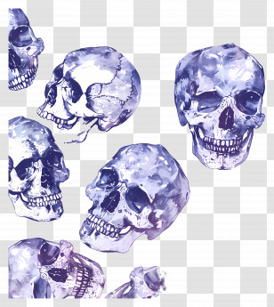 Skull Pattern - Illustrated Human Skulls Transparent PNG