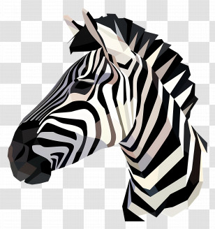 Zebra Head - Zebra Head Illustration With Striking Stripes Transparent PNG
