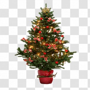 Christmas Tree Fir Clip Art - Pine - Ornaments And Small Transparent PNG