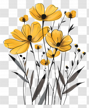 Yellow Wildflowers Illustration - Yellow Wildflowers Botanical Illustration Transparent PNG