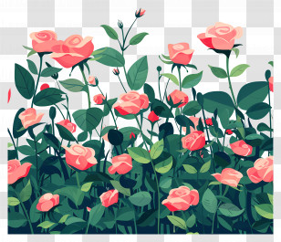 Rose Garden - Rose Bushes Illustration Transparent PNG