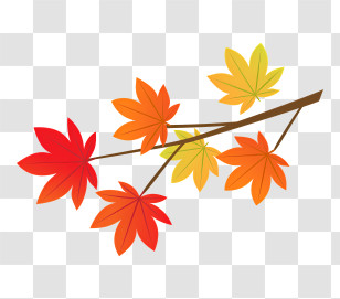 Maple Leaf - Autumn Leaves On Branch Illustration Transparent PNG