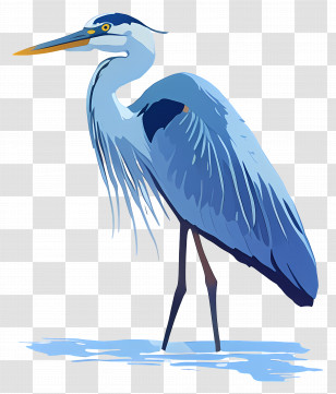 Heron - Blue Heron Illustration With Detailed Features Transparent PNG