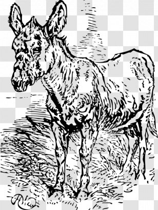 Mule Donkey Horse Clip Art Transparent PNG