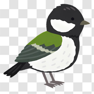Bird - Cute Green And White Bird Illustration Transparent PNG