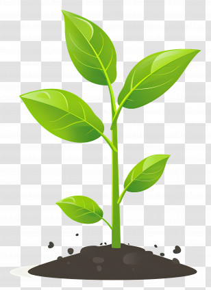 Sprout - Young Green Sprout In Soil Illustration Transparent PNG