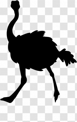 Ostrich - Silhouette Of An Ostrich In Black Transparent PNG
