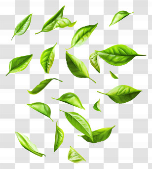 Flying Leaf - Fresh Falling Green Leaves Illustration Transparent PNG