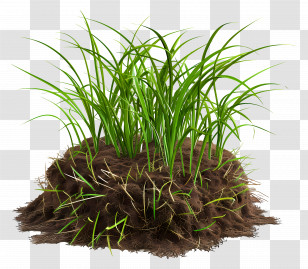Soil - Green Grass And Soil Illustration On Transparent Background Transparent PNG