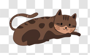 Cat - Cute Cat Cartoon Transparent PNG