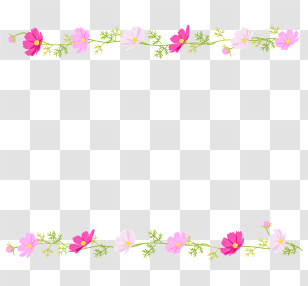 Cosmos Flower Frame - Pink Floral Border Design For Decor Transparent PNG