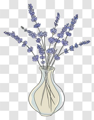 Lavender In Vase - Lavender Flowers In A Vase Illustration Transparent PNG