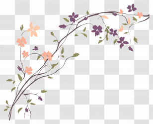Flower Vine - Delicate Branch With Flowers Transparent PNG