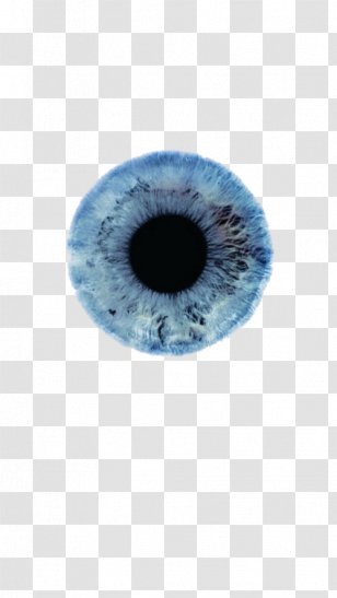 Iris Eye Color Human Pupil - Flower - Auryn Background Transparent PNG