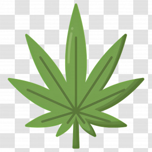 Cannabis Leaf - Green Leaf Illustration With Clear Details Transparent PNG