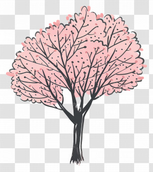 Tree - Cherry Blossom Tree Drawing Transparent PNG