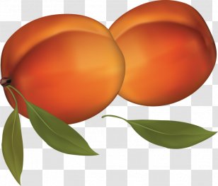 Peach Juice Clip Art - Diospyros Transparent PNG