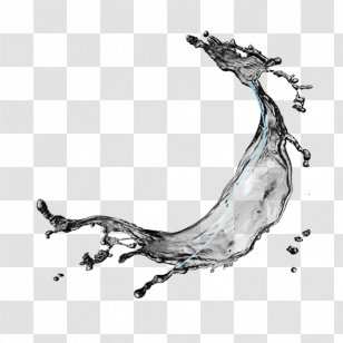Black And White Monochrome Photography Computer File - Water Transparent PNG