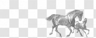 Foal Mare Clydesdale Horse American Quarter Clip Art - Run Transparent PNG