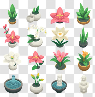 Zen Flower Arrangement - Various Potted Plants Transparent PNG