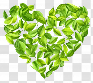 Tea Leaves - Heart Shape Made Of Green Leaves Transparent PNG