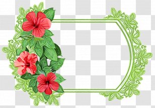 Background Watercolor Frame - Episcia - Interior Design Hibiscus Transparent PNG