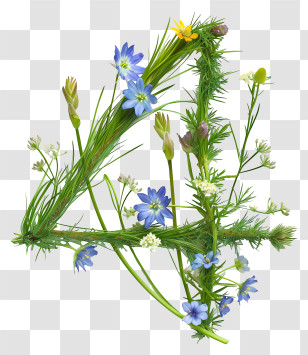 Number 4 Flowers - Floral Number Four With Blue Flowers Transparent PNG