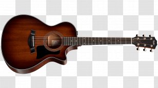 Taylor Guitars Twelve-string Guitar Steel-string Acoustic - Watercolor Transparent PNG
