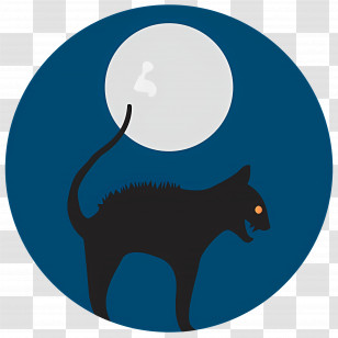 Halloween Moon - Black Cat With Full Moon Transparent PNG