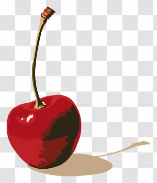 Cherry - Realistic Red Cherry Illustration Transparent PNG