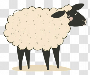 Sheep - Cartoon Sheep Illustration With Woolly Coat Transparent PNG