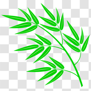Icon - Green Bamboo Branch Illustration Transparent PNG