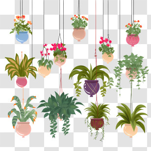 Hanging Plant With Pot - Beautiful Hanging Plants In Decorative Pots Transparent PNG