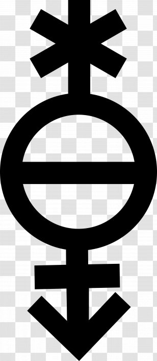 Lack Of Gender Identities Symbol Binary Identity - Symbols Transparent PNG