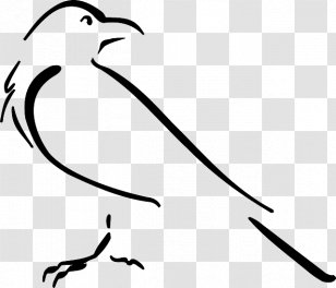 Crow Line Art Drawing Clip - White Transparent PNG