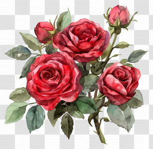 Rose Flower - Red Roses With Leaves In A Bouquet Transparent PNG