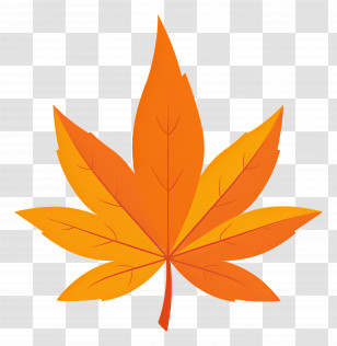 Autumn Maple Leaf - Bright Orange Autumn Leaf Illustration Transparent PNG