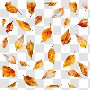Thanksgiving Pattern - Autumn Falling Leaves Transparent PNG